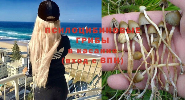 винт Белокуриха