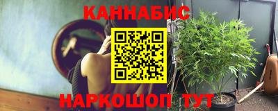 прущие грибы Среднеуральск