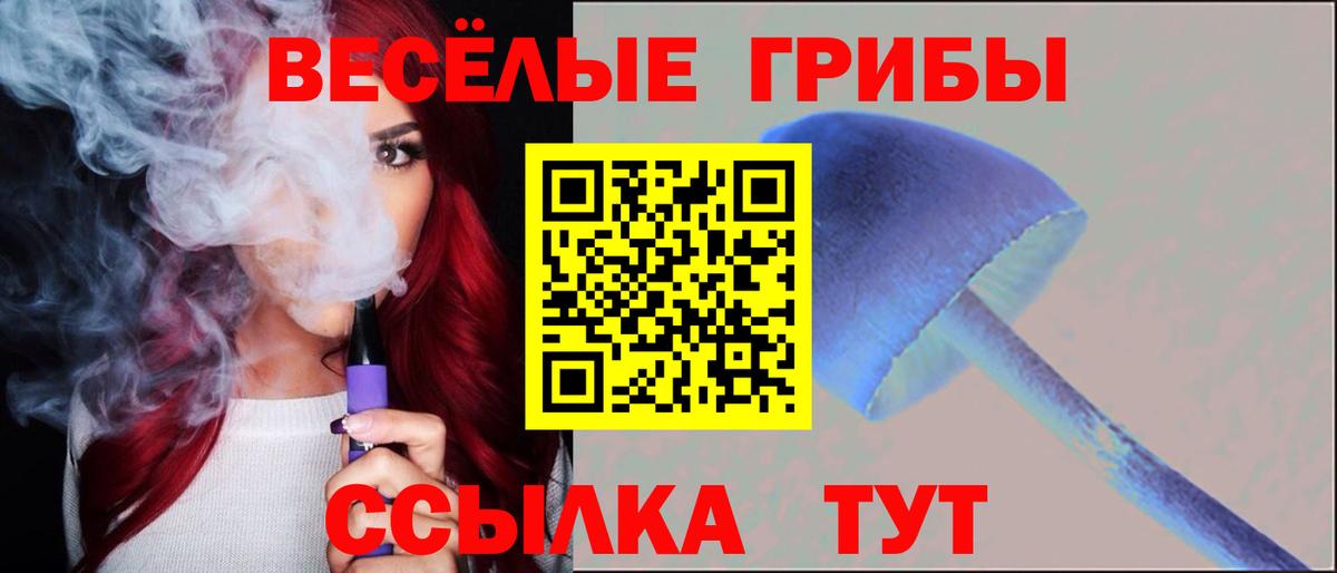 Буйнакск  Галлюциногенные грибы прущие грибы  Вход с VPN  Галлюциногенные грибы MAGIC MUSHROOMS 